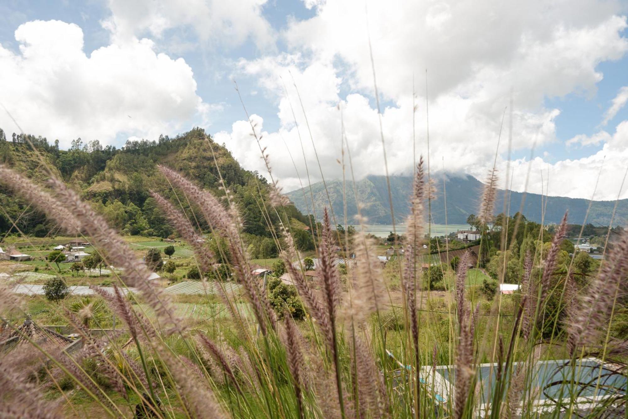 Batur Cliff Panorama Villa Baturaja  Eksteriør bilde